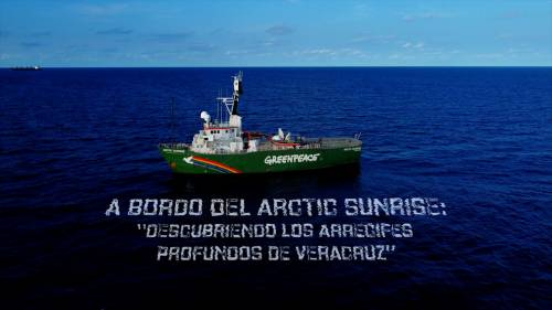 A bordo del Arctic Sunrise: Descubriendo los arrecifes profundos de Veracruz