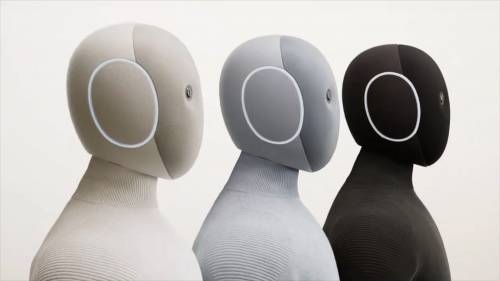 Robots y humanos: compañeros del futuro