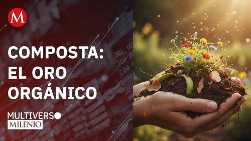Composta: el oro orgánico
