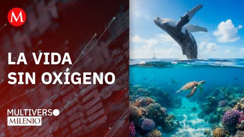 Océanos: evitar el punto de quiebre