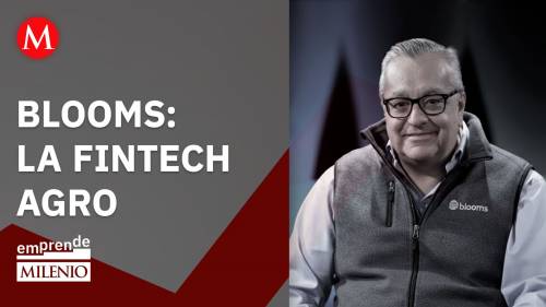 Blooms: la fintech que blinda al campo
