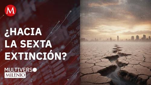 Sexta extinción: la evidencia científica de un colapso causado por el ser humano