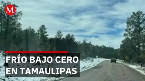 Protección Civil activa el Operativo Carrusel en Tamaulipas ante el descenso extremo de temperatura