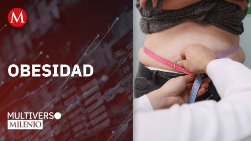 ¿Por qué dejar de comer no detiene la obesidad?